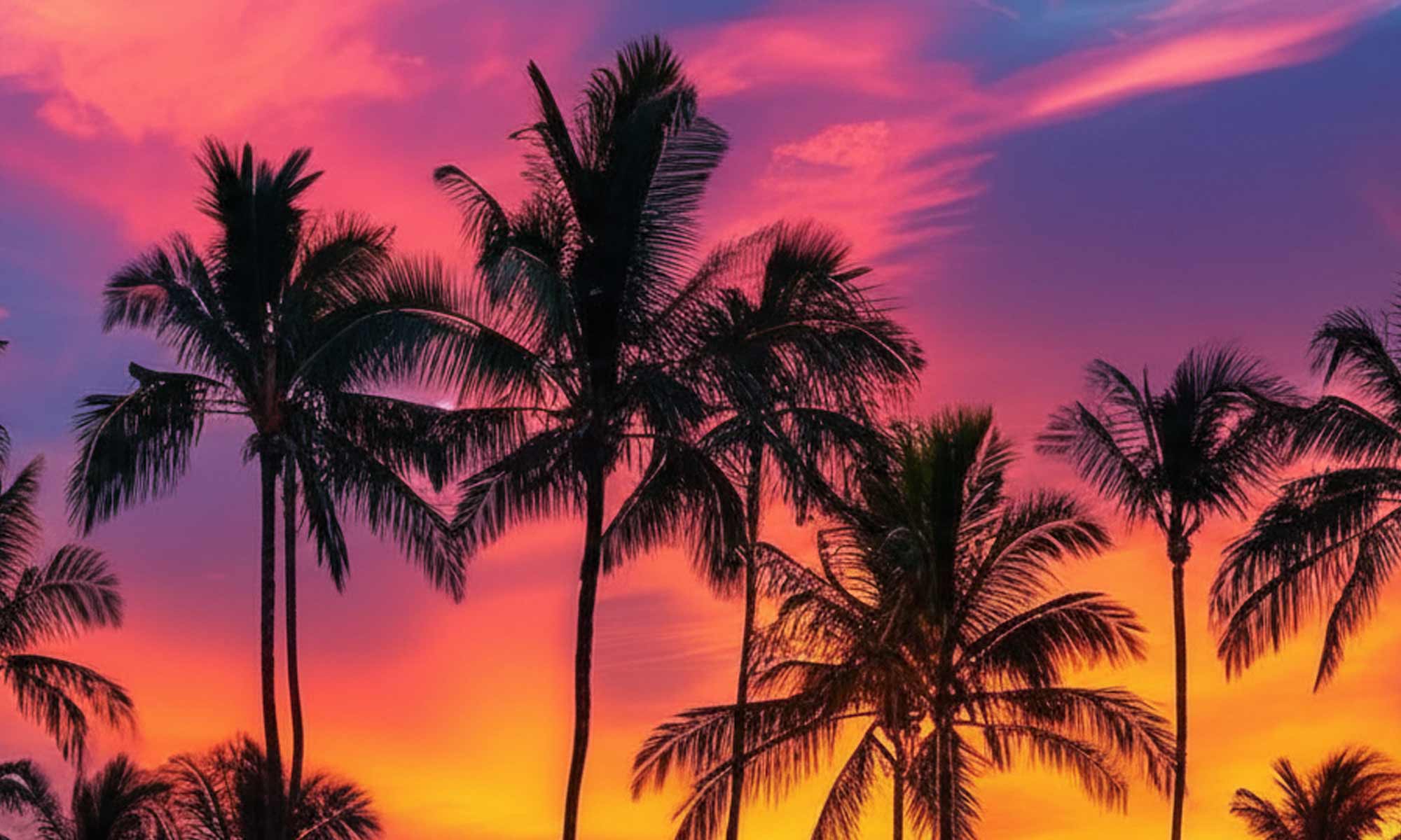 About Winter Haven Web Design